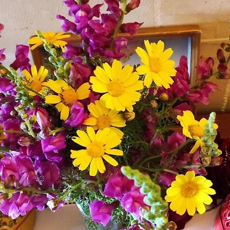 Gizimina B&B By Verosole Xagħra Eksteriør bilde